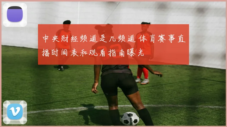 中央财经频道是几频道 体育赛事直播时间表和观看指南曝光